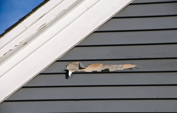 Best Custom Trim and Detailing for Siding  in Richlands, VA